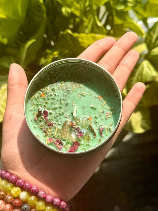 Evergreen Abundance Candle