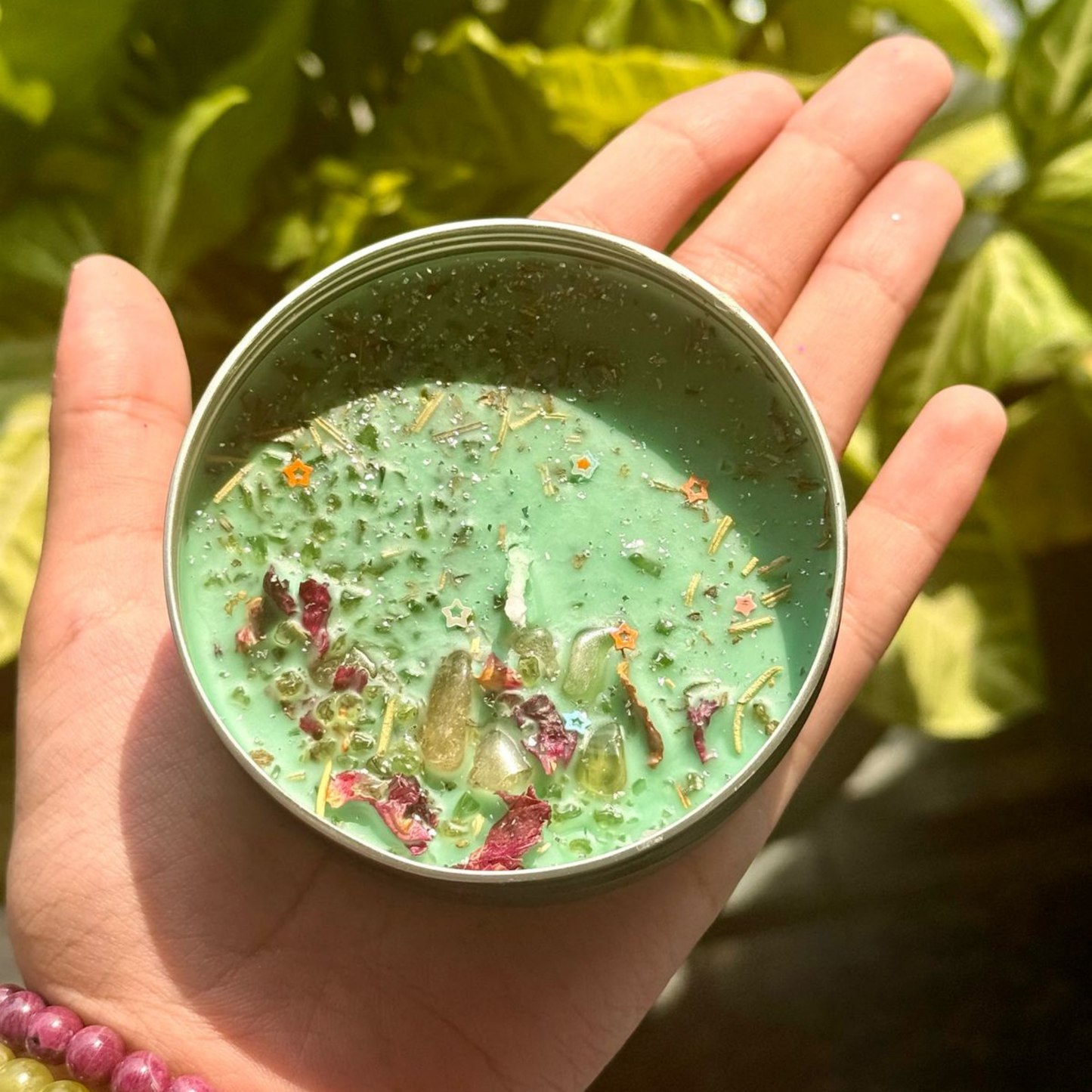 Evergreen Abundance Candle